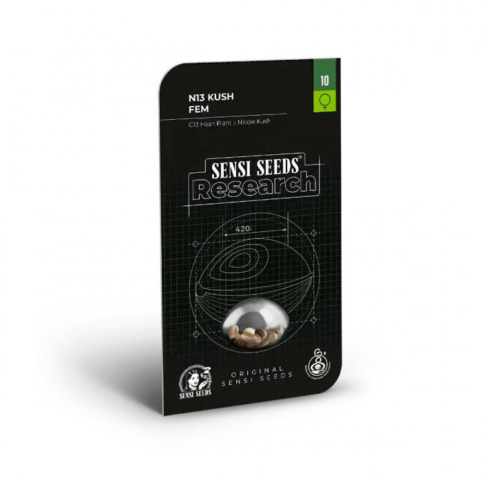 N13 Kush de Sensi Seeds Research, semillas de marihuana feminizadas.