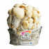 Pan de setas Whitebilly Mycobag.