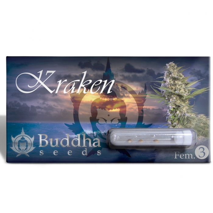 Kraken de Buddha Seeds, semillas de marihuana feminizadas, envase de 3u.