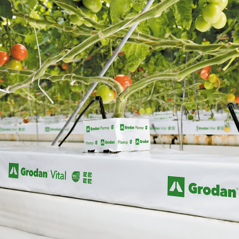 Slab de lana de roca Grodan Vital Ng2.0 para cultivo.