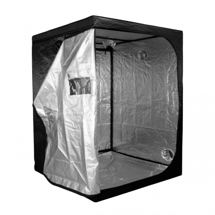 Armario Cultibox Light Plus de 240x120x200 cm, abierto.