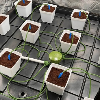 Kit de riego Pulpo de 12 salidas para cultivo.