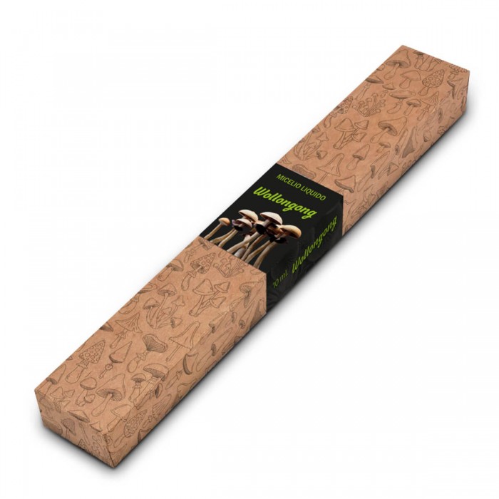 Jeringas de micelio líquido 10ml, Wollongong