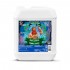 Bacchus Terra Taste de Terra Power, envase de 5L.