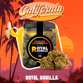 Flores CBD Cocori Royal Gorilla, California 5g.