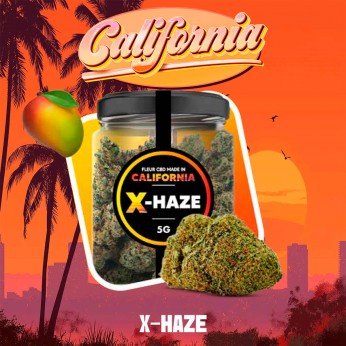 Flores CBD Cocori Bud X-Haze , California 5g.