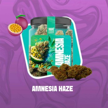 Flores CBD Cocori Amnesia Haze 5g de la línea Clásicas.