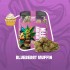 Flores CBD Cocori Blueberry Muffin 5g de la línea Clásicas.