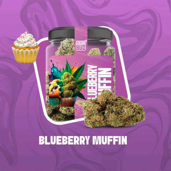 Flores CBD Cocori Blueberry Muffin 5g de la línea Clásicas.
