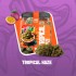 Flores CBD Cocori Tropical Haze 5g de la línea Clásicas.