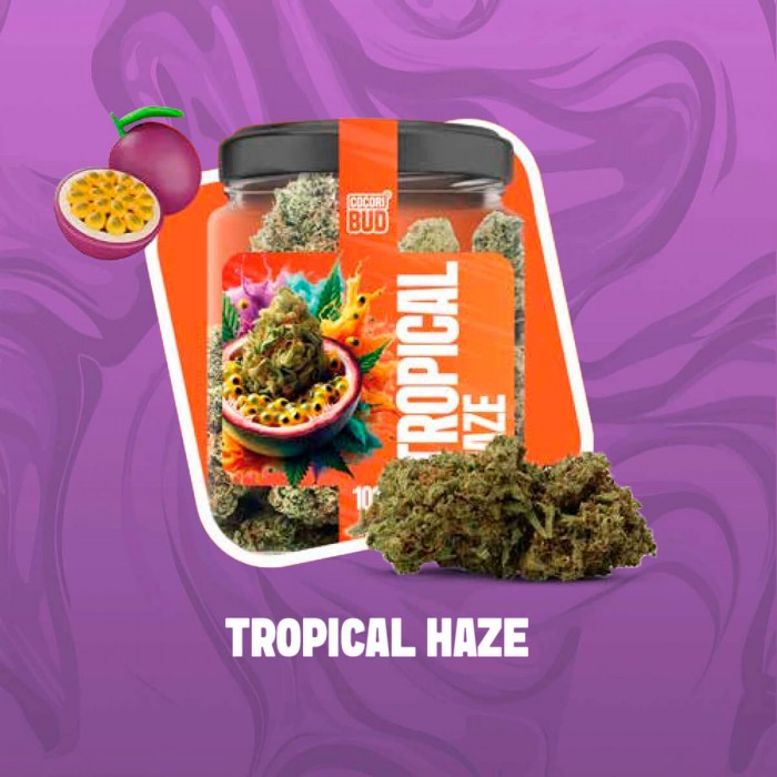 Flores CBD Cocori Tropical Haze 5g de la línea Clásicas.