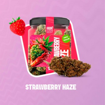 Flores CBD Cocori Strawberry Haze 5g de la línea Premium.