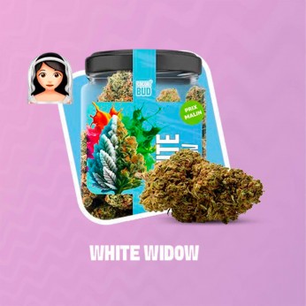 Flores CBD Cocori White Widow 5g de la línea Premium.