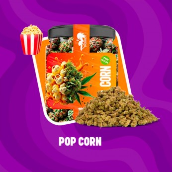 Flores CBD Cocori Pop Corn 10g.
