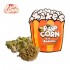 Flores CBD Pop Corn Sweet Mandarine 10g de la marca Xuxes.