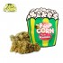 Flores CBD Pop Corn Green Sour 10g de la marca Xuxes.