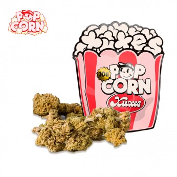 Flores CBD Pop Corn Pink Kush 10g de la marca Xuxes.