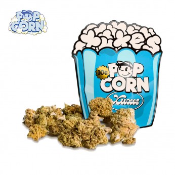 Flores CBD Pop Corn Blue Candy 10g de la marca Xuxes.