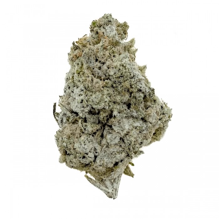 Cogollos CBD OG Kush de interior hidropónico.