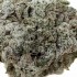Cogollos CBD OG Kush de interior hidropónico, resina.