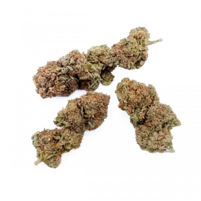 Flores CBD Critical + de interior hidropónico, cogollos.