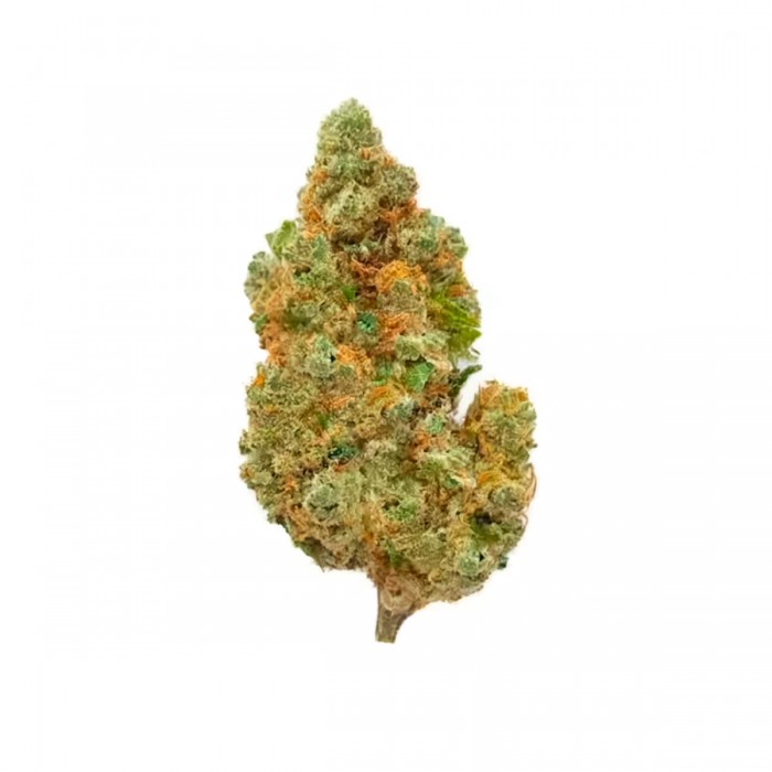 Cogollos CBD Lemon de interior hidropónico.