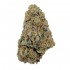 Flores CBD Gelato Cream de interior hidropónico Californianas.