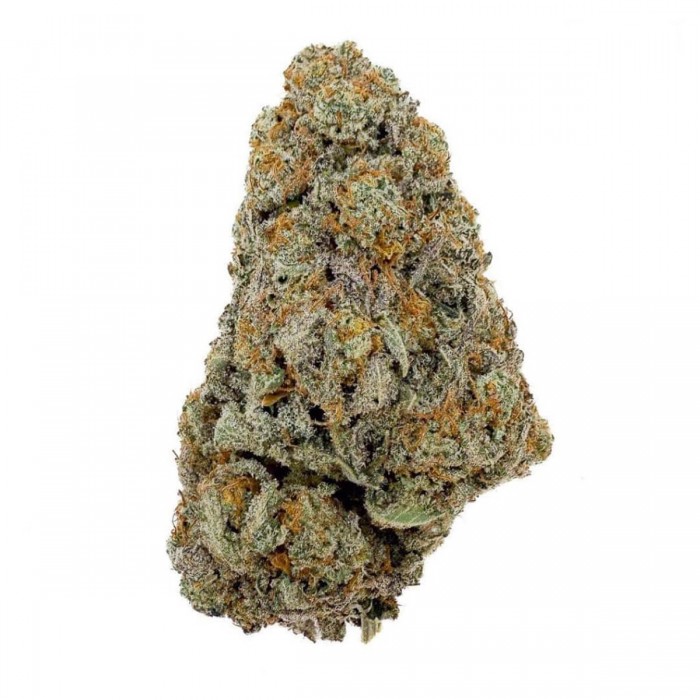 Flores CBD Gelato Cream de interior hidropónico Californianas.
