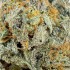 Flores CBD Gelato Cream de interior hidropónico Californianas, resina.