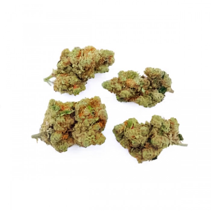 Flores CBD Lemon de interior hidropónico, cogollos.