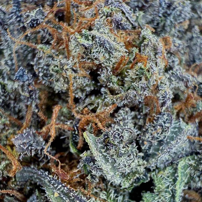 Flores CBD Purple Runtz de interior hidropónico Californianas, resina.