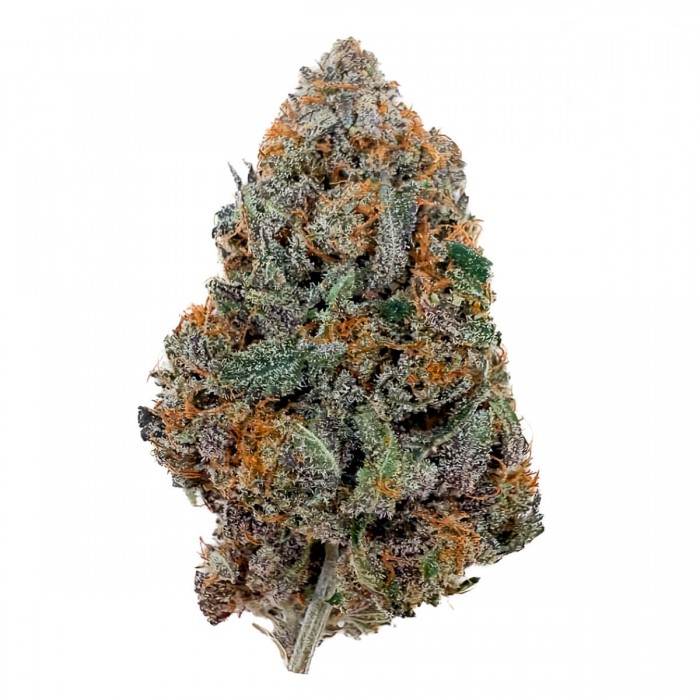 Flores CBD Purple Runtz de interior hidropónico Californianas.