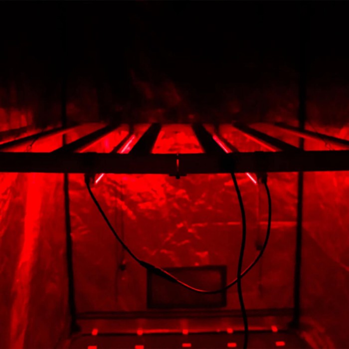 Barras LED NIR Twins de 22w cada una Agrolite, iluminación.