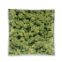 Cenicero de cristal con diseño de cogollos y forma cuadrada de 11x11cm.