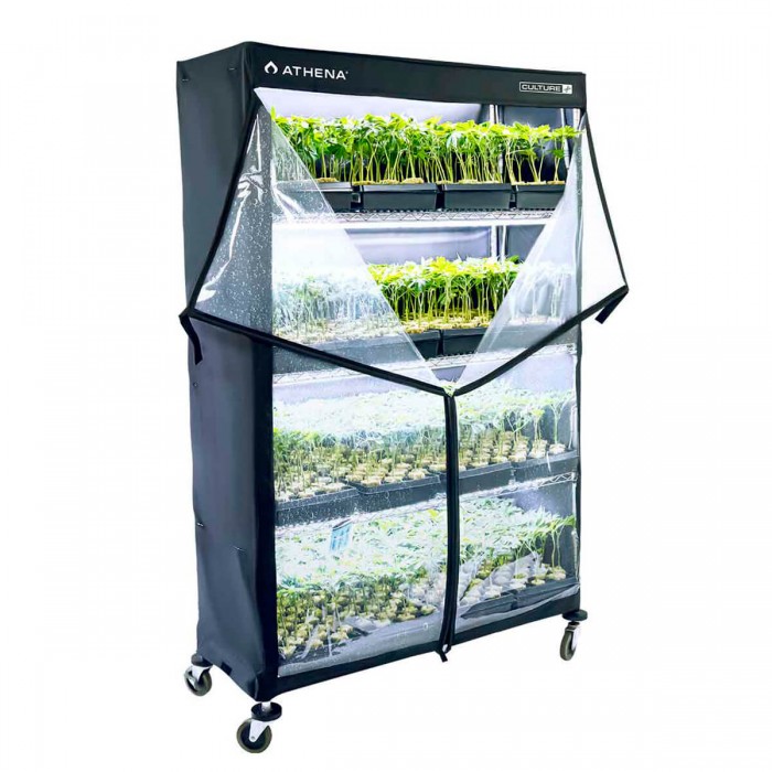 Armario de cultivo VP Dome de Athena, cultivo.