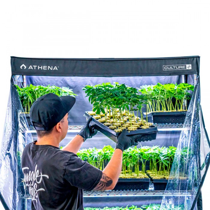 Armario de cultivo VP Dome de Athena, para bandejas de germinación y esquejes.