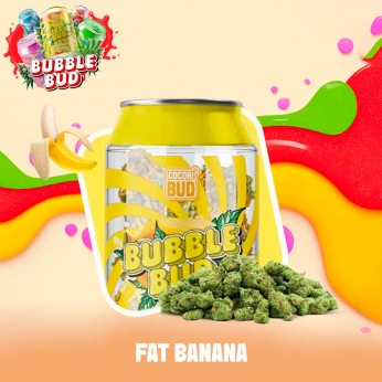 Flores CBD Cocori Fat Banana 10g de la línea Bubble Bud.