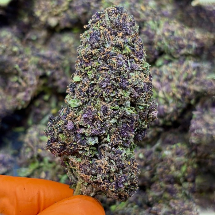Flores CBD Purple Berry FP, cogollos morados de CBD.