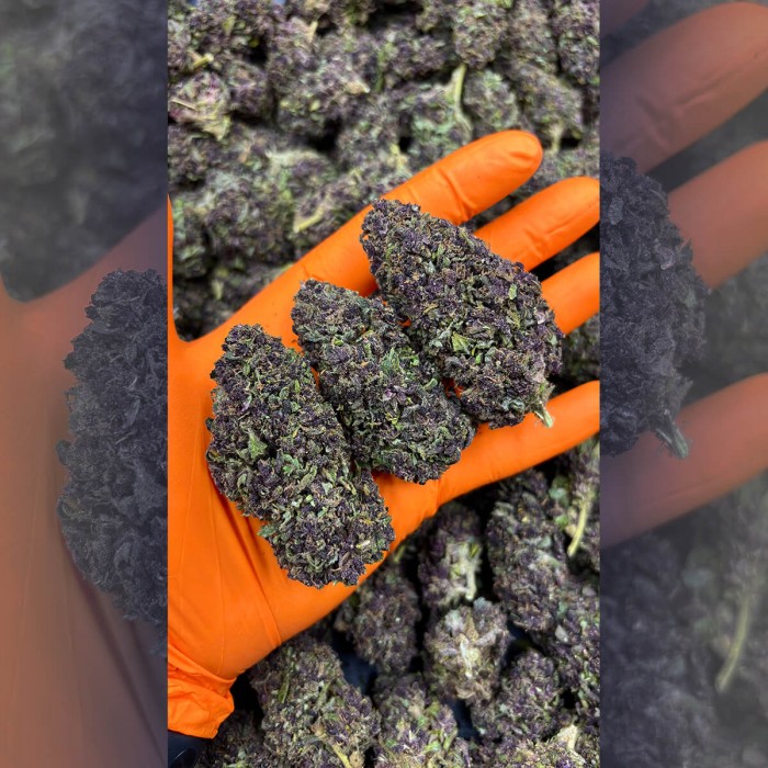 FLORES CBD PURPLE BERRY FP cogollos