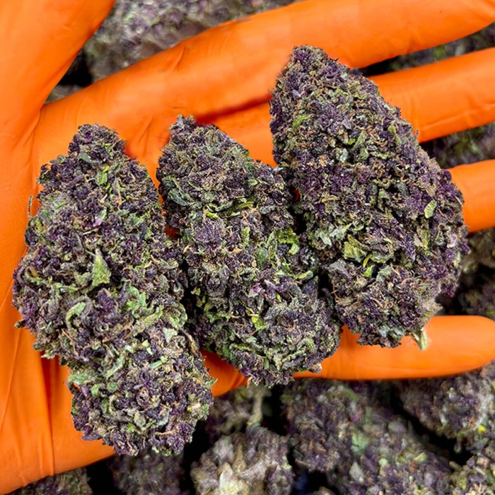 Flores CBD Purple Berry FP 3g, puntas grandes.