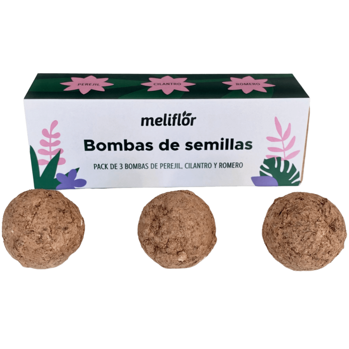 Bombas de Semillas aromáticas Meliflor de perejil-cilantro y romero, bolas de arcilla caseras.