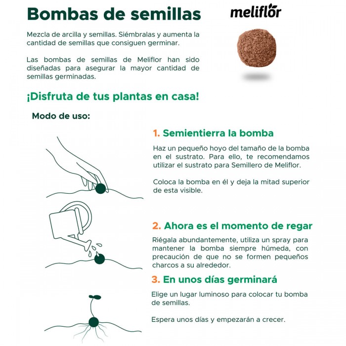 Bombas de Semillas aromáticas Meliflor de albahaca, hierbabuena y menta, instrucciones de uso.