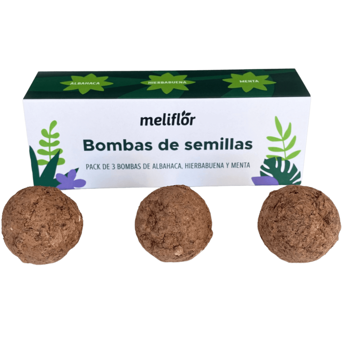 Bombas de Semillas aromáticas Meliflor de albahaca, hierbabuena y menta, bolas de arcilla artesanales.