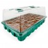 Propagador mini invernadero con luz LED y sustrato.