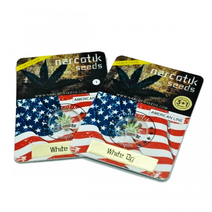 White OG de Narcotik Seeds, blister.