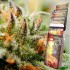 Assorted Mix Autoflorecientes de Buddah Seeds, caja.