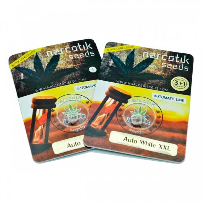 Auto White XXL de Narcotik Seeds - Semillas de marihuana autofloreciente, blister.