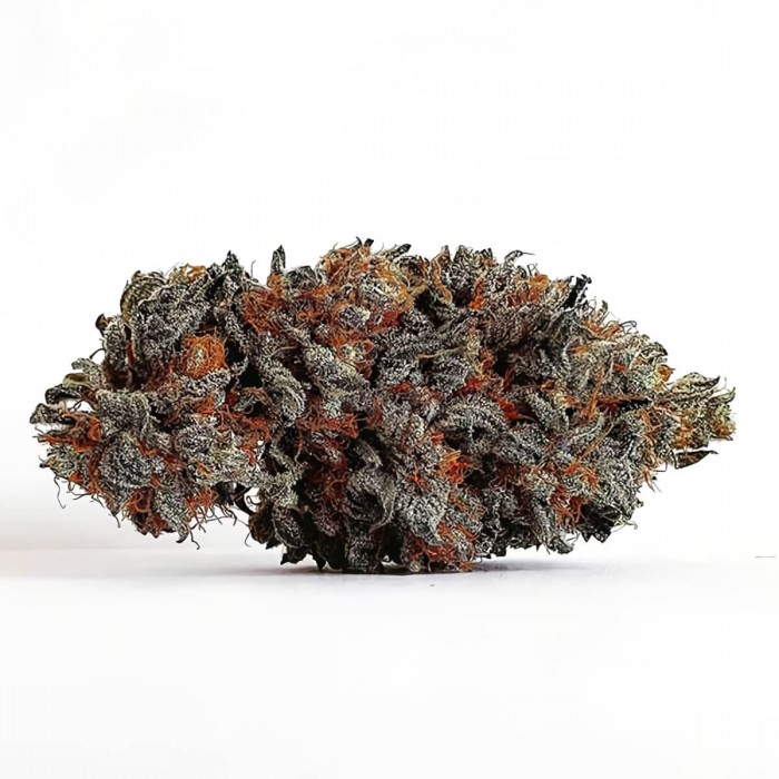 Semillas de marihuana feminizadas Golosa de Delicious Seeds, cogollo seco.