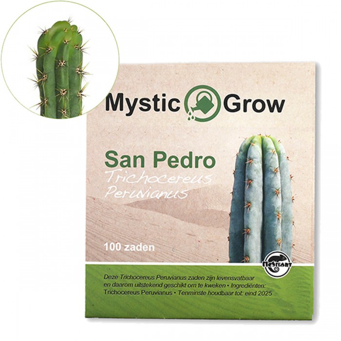Semillas de cactus San Pedro, 10 unidades. (Trichocereus peruvianus)