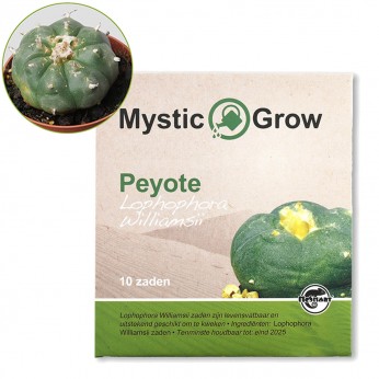 Semillas de Peyote, 10 unidades.